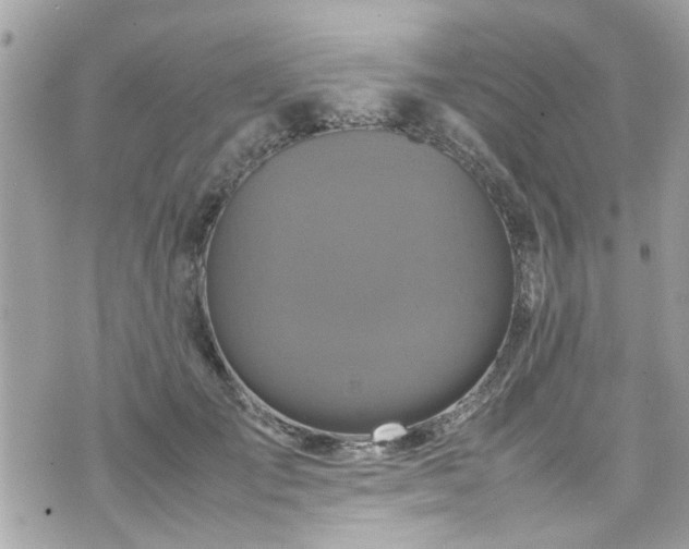 X0000070410701200606161411