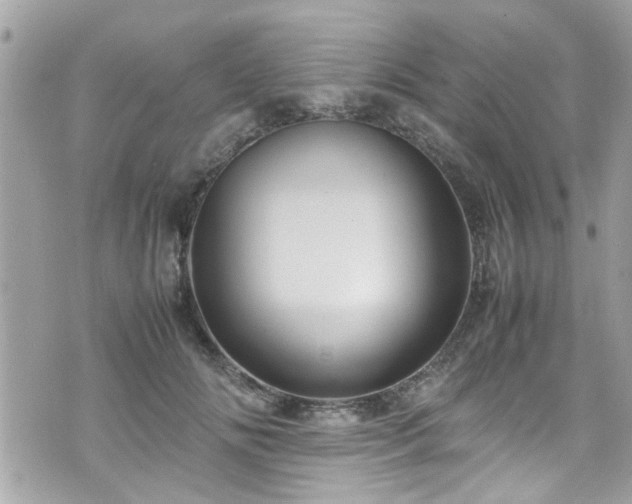 X0000070410702200606161411