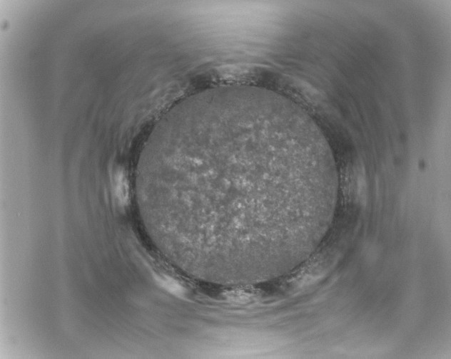 X0000070410703200606161411