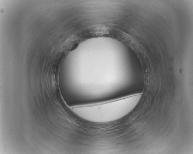 X0000070410704200606161411