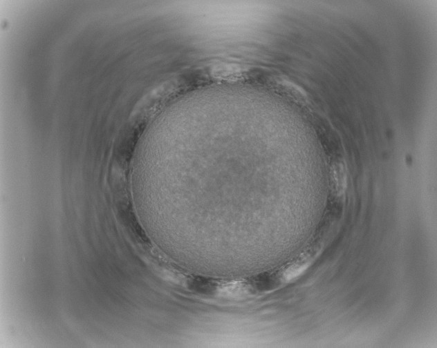 X0000070410705200606161411