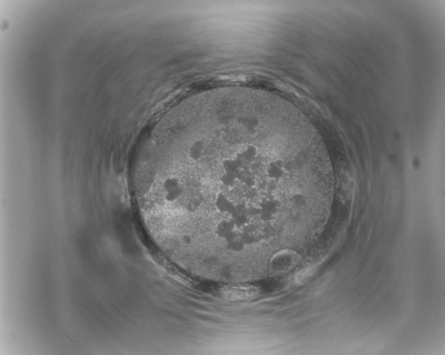 X0000070410707200606161411