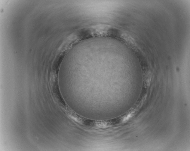 X0000070410709200606161411