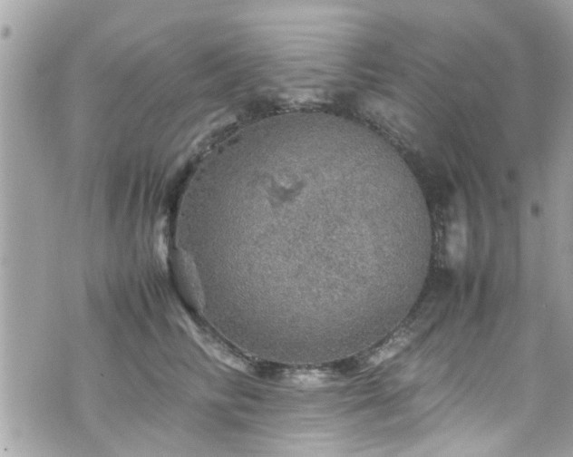 X0000070410710200606161411