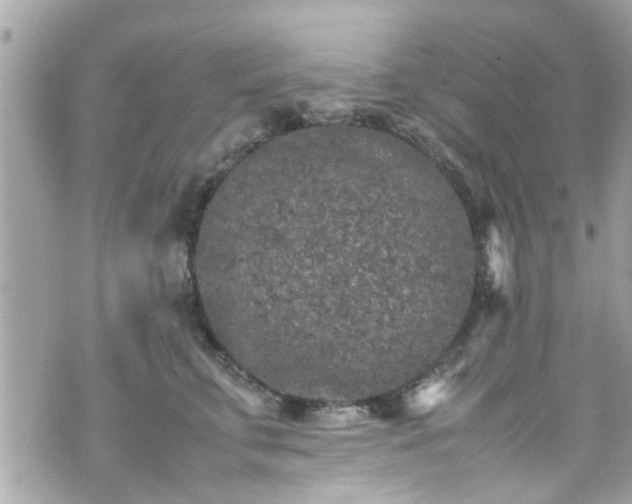 X0000070410711200606161411