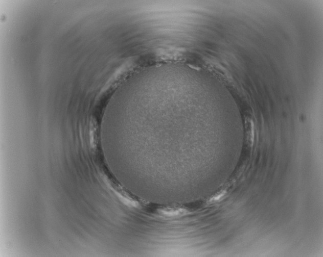 X0000070410712200606161411