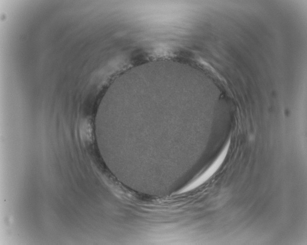 X0000070410715200606161411