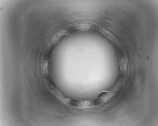 X0000070410717200606161411