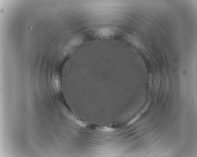 X0000070410718200606161411