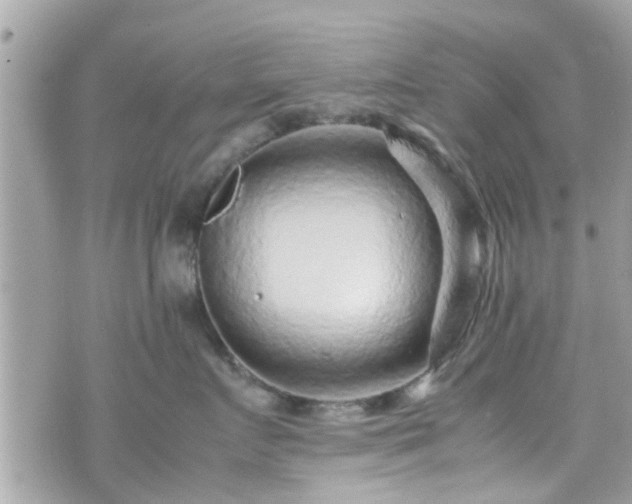 X0000070410719200606161411