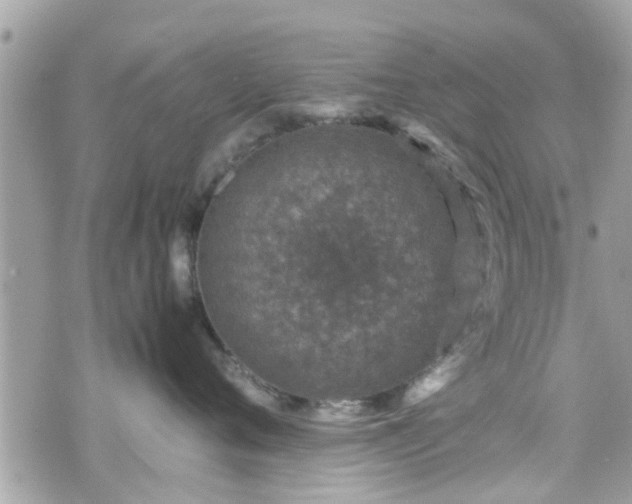 X0000070410720200606161411