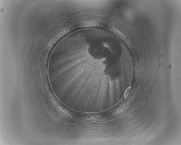 X0000070410721200606161410