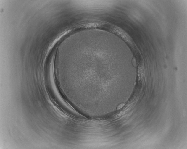 X0000070410722200606161410