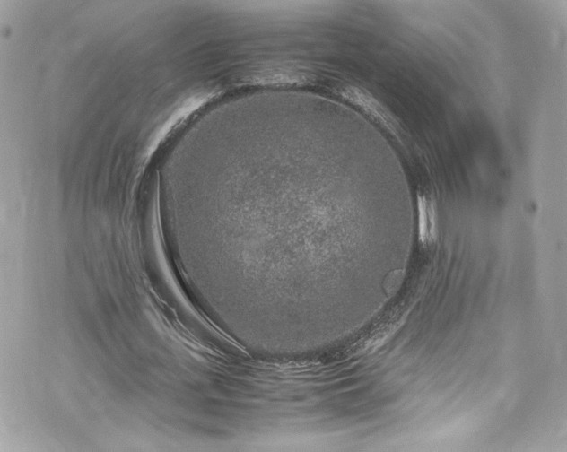 X0000070410723200606161410