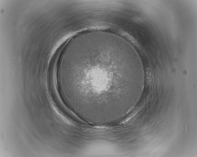 X0000070410726200606161410