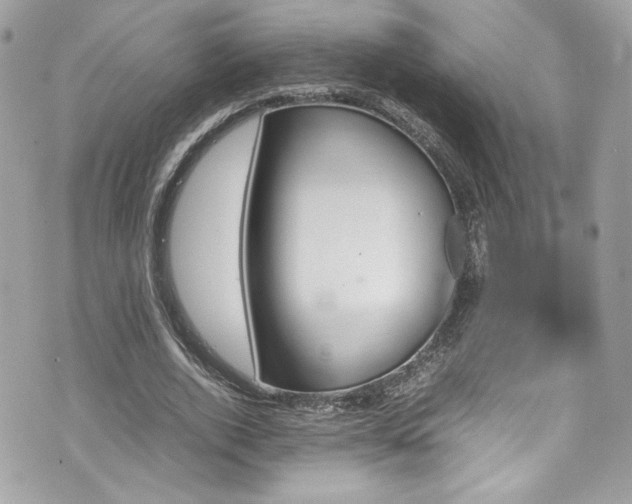 X0000070410728200606161410