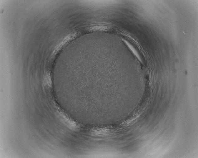 X0000070410729200606161410