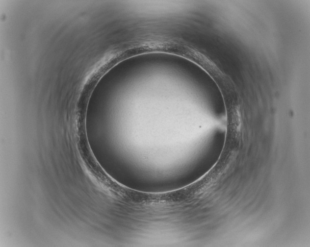 X0000070410730200606161410