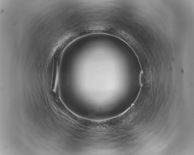 X0000070410731200606161410