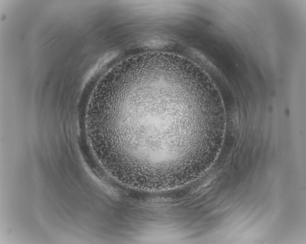 X0000070410734200606161410