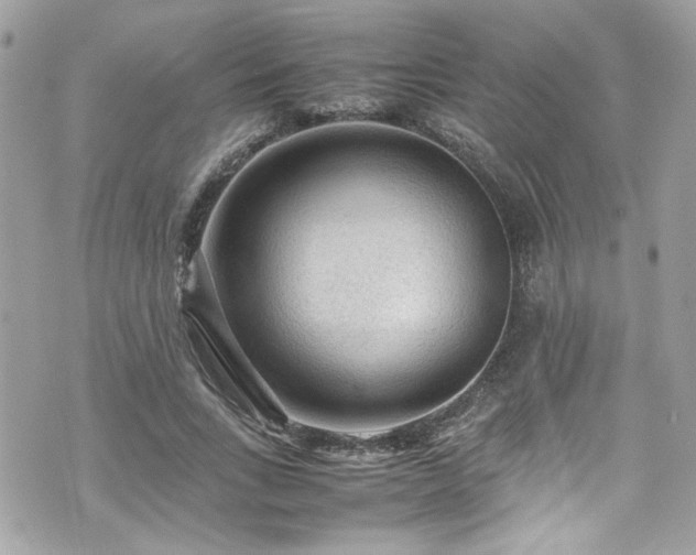 X0000070410735200606161410