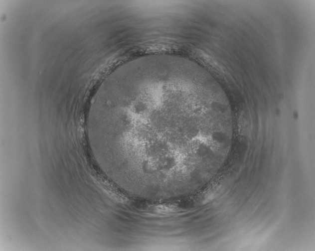 X0000070410737200606161410