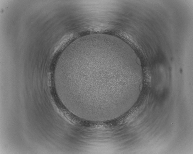 X0000070410738200606161410