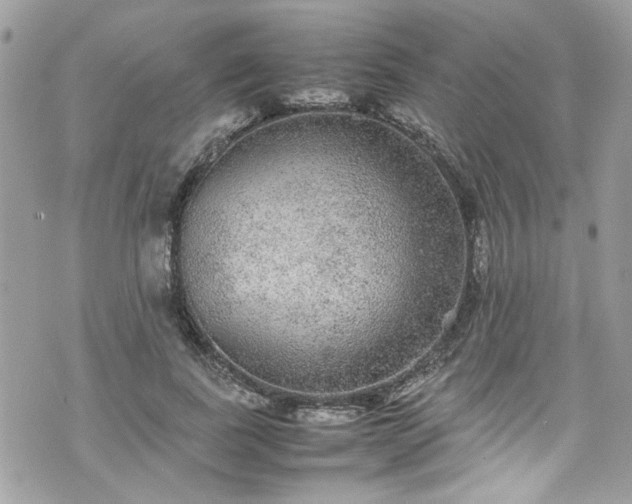 X0000070410739200606161410