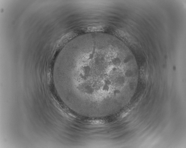 X0000070410741200606161410