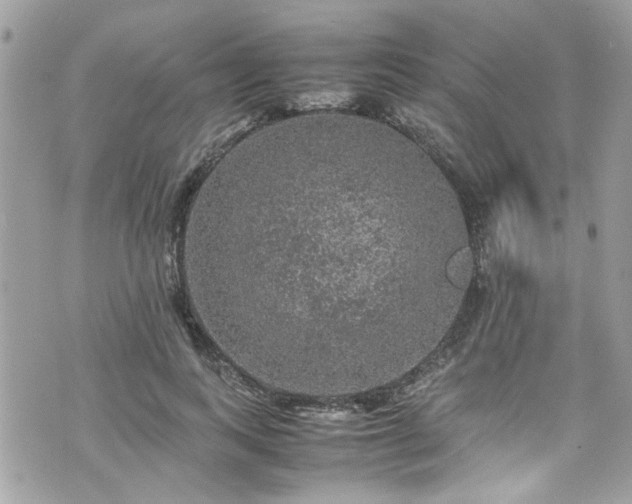 X0000070410743200606161411