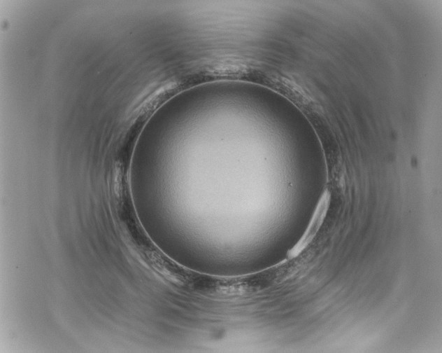 X0000070410744200606161411