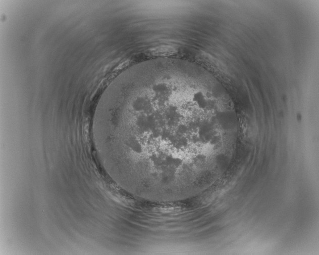 X0000070410745200606161411