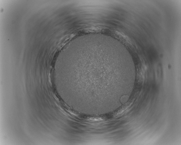 X0000070410749200606161411