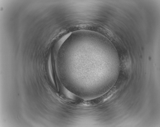 X0000070410750200606161411