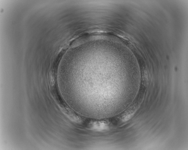 X0000070410751200606161411