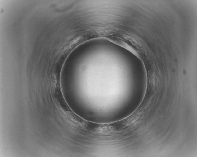 X0000070410752200606161411