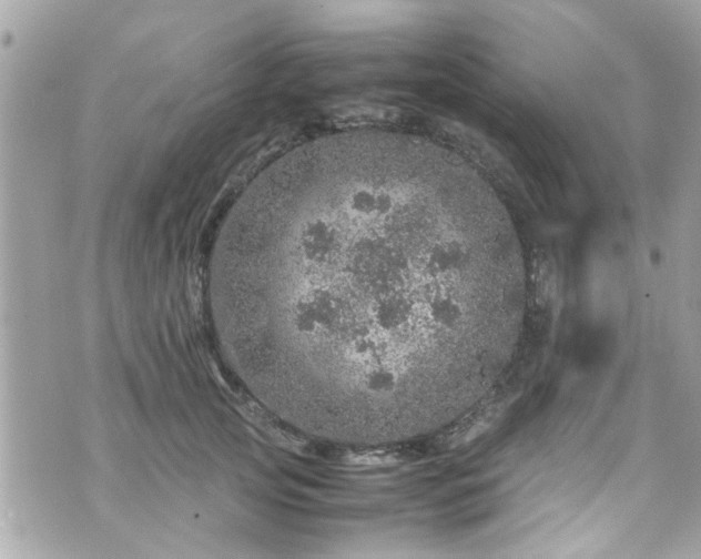 X0000070410753200606161411