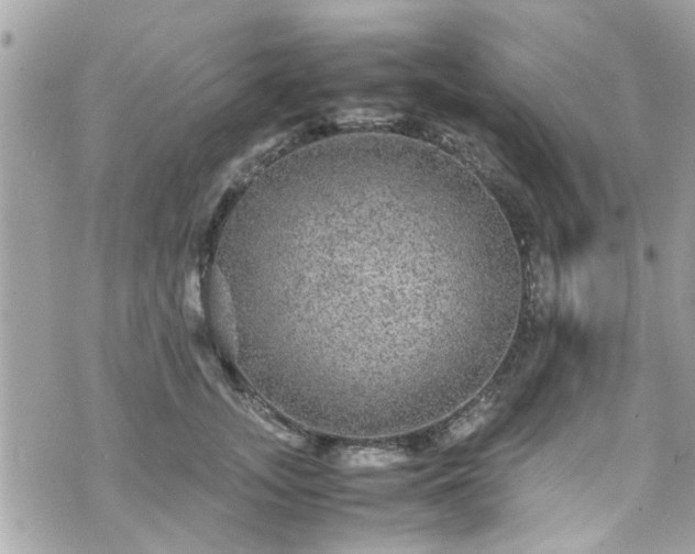 X0000070410755200606161411