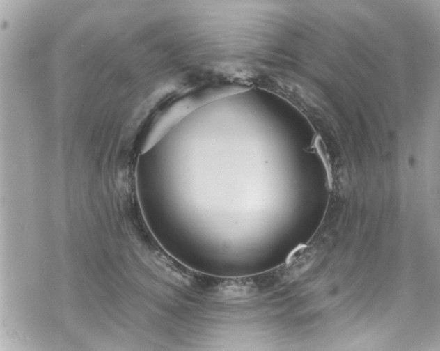 X0000070410756200606161411