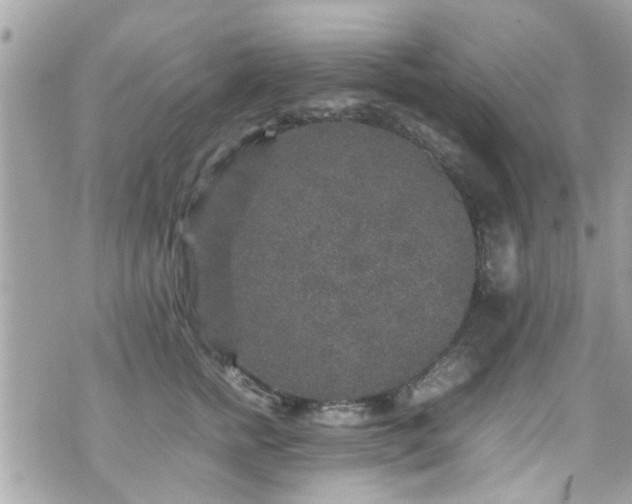 X0000070410758200606161411