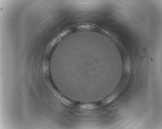 X0000070410759200606161411