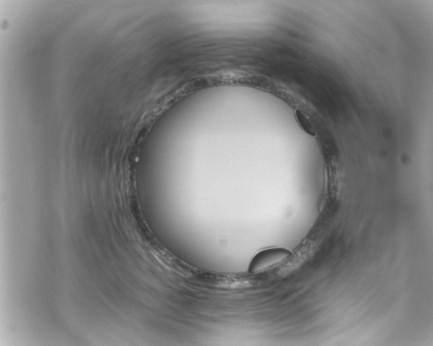 X0000070410760200606161411