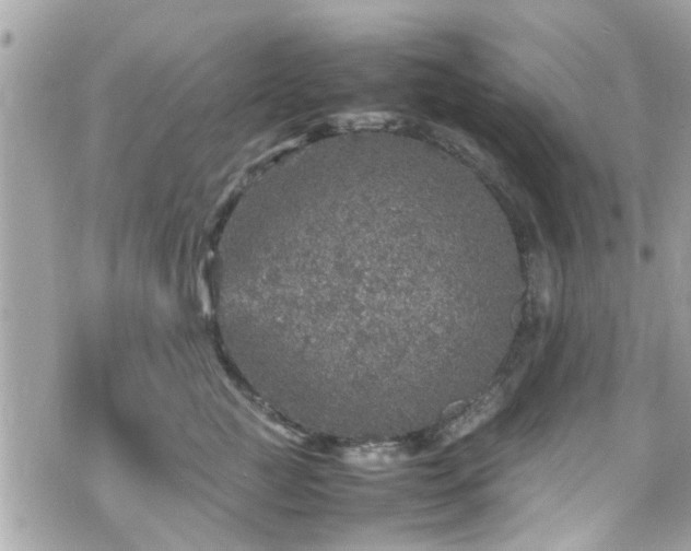 X0000070410761200606161411