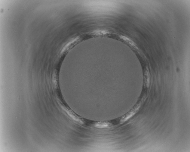 X0000070410762200606161411