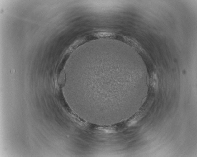 X0000070410763200606161411