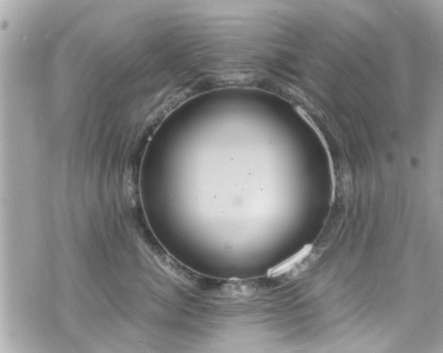 X0000070410764200606161411