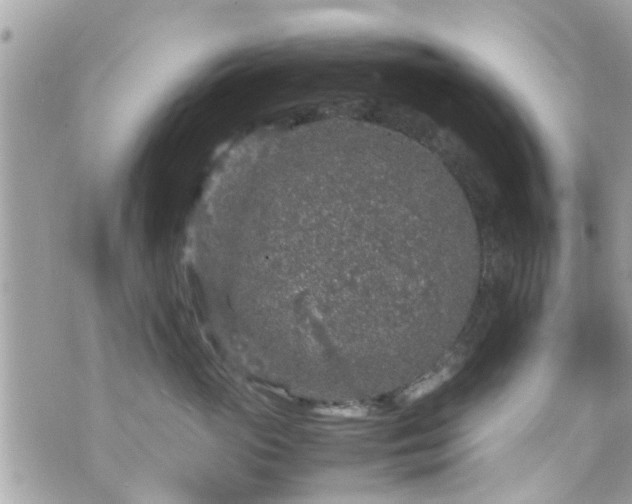 X0000070410765200606161411