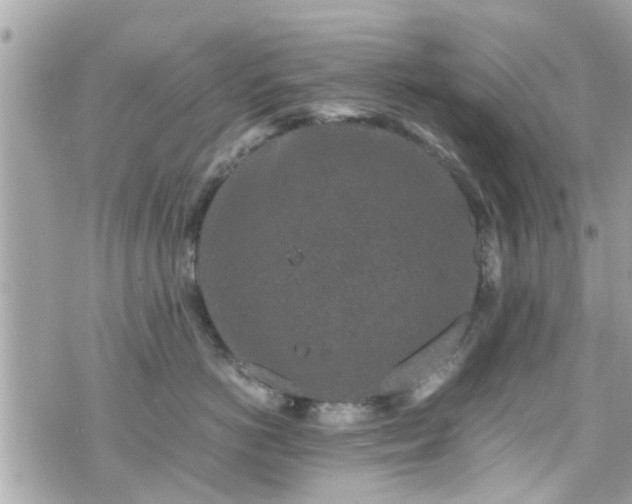 X0000070410766200606161411