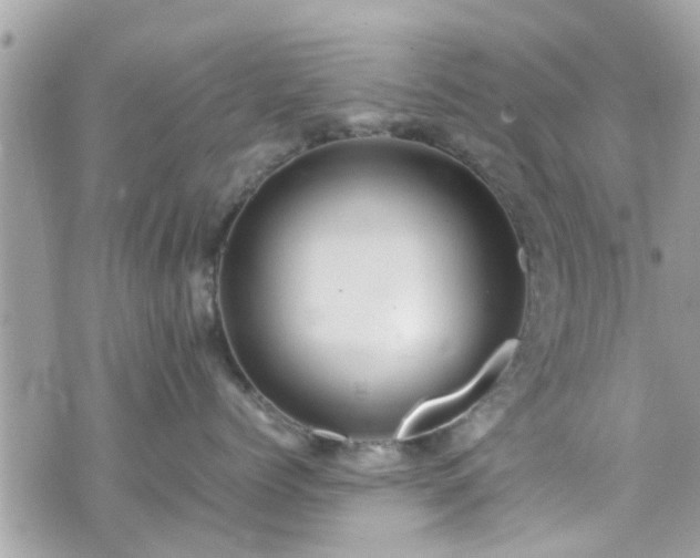 X0000070410768200606161411