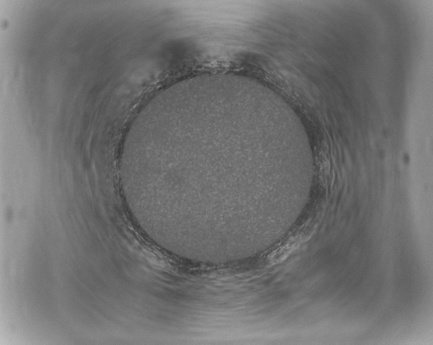 X0000070410769200606161410